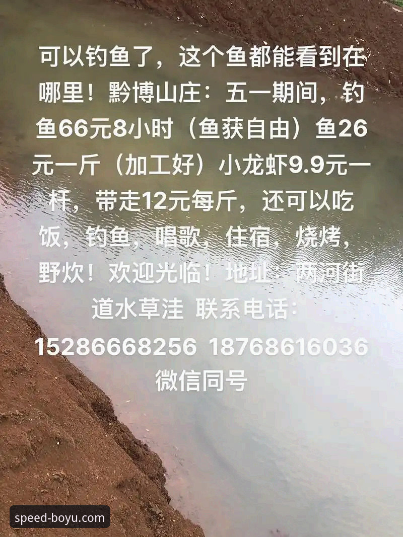 博鱼app电脑版官网 博鱼官网平台PC版深度评测:从安装到使用,技术角度的全面分析